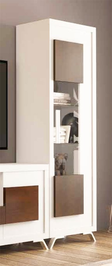 VITRINA ESTRECHA CON UNA PUERTA IDEAL PARA SALÓN ESTILO MODERNO