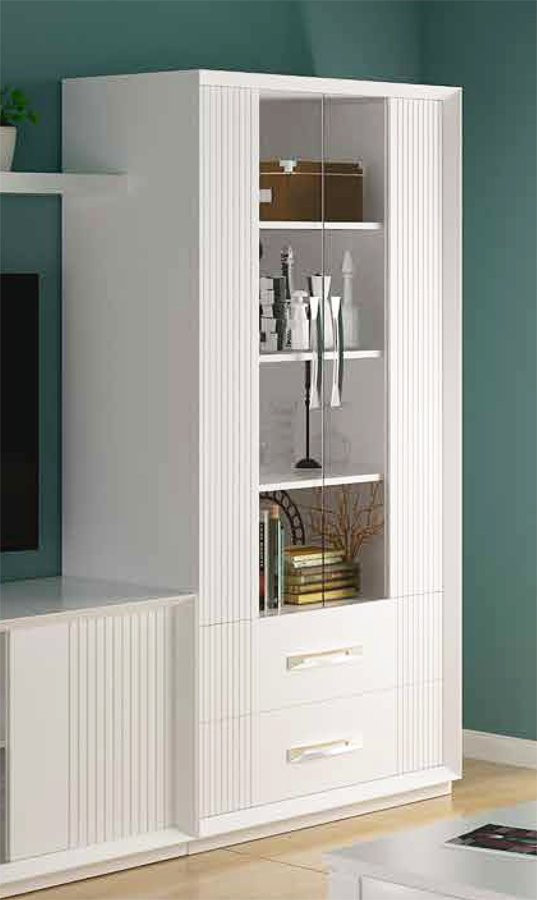 VITRINA DE SALÓN MODERNA CON DOS PUERTAS Y DOS PRÁCTICOS CAJONES