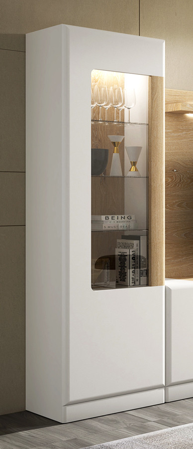 VITRINA 1 PUERTA PARA SALONES CON MUEBLES MODERNOS - DM