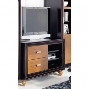 MUEBLE TELEVISIÓN CON 2 CAJONES MADERA - PINO