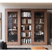 VITRINA MODULAR MODERNA CON PUERTAS Y LIBRERO INTEGRADO