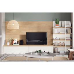 COMPOSICIÓN MODERNA PARA SALÓN SALÓN CON MUEBLE TV Y ESTANTERÍA