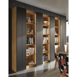 ESTANTERIA MODULAR DE DISEÑO CONTEMPORÁNEO CON PUERTAS Y ESTANTES