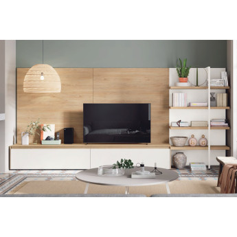 COMPOSICIÓN MODERNA PARA SALÓN SALÓN CON MUEBLE TV Y ESTANTERÍA