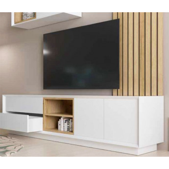 MUEBLE PARA TELEVISIÓN CON 2 PUERTAS Y 2 CAJONES PARA ALMACENAJE